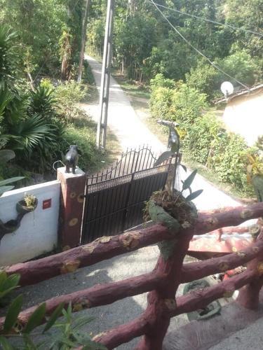 Apartamento Mango Villa 50