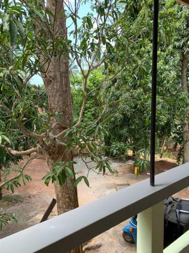 Villa Marina Retreat Hikkaduwa