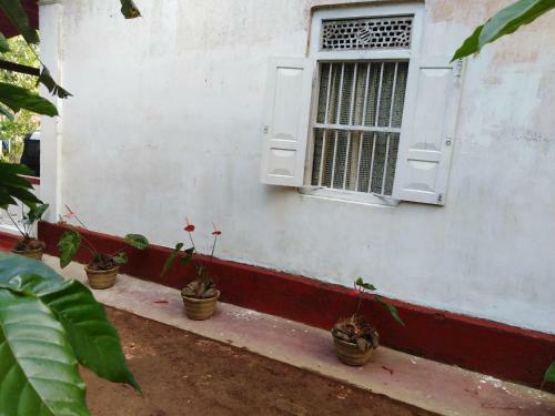 Antique House