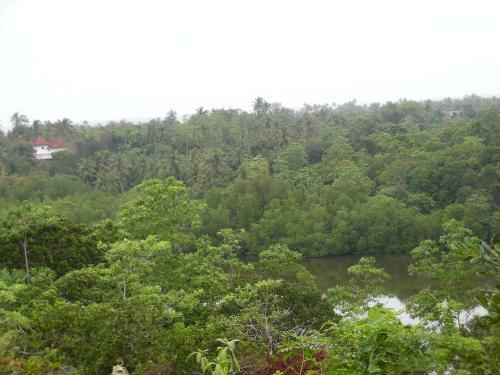 Hostal River Face Villa