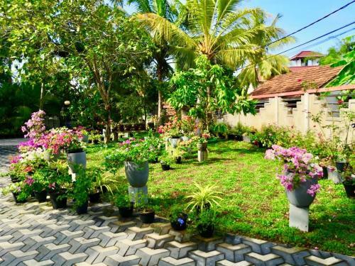 Apartamento Dolphin Villa