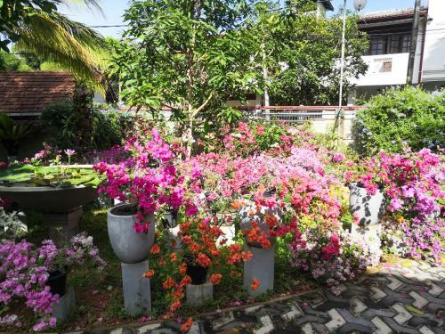 Apartamento Dolphin Villa