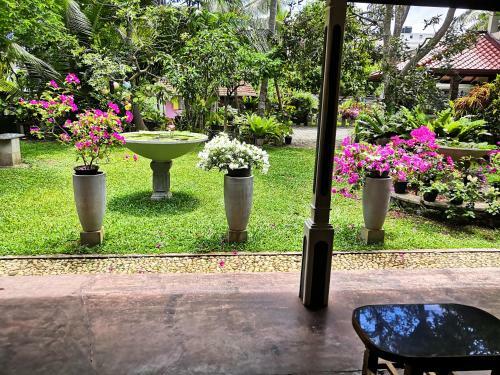 Apartamento Dolphin Villa