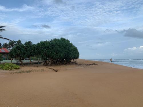 Hostal Pandula Villa 390