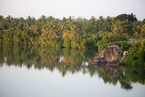 Treehouse Villas Hikkaduwa
