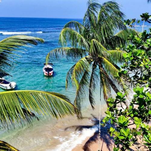 Coral Reef Hotel