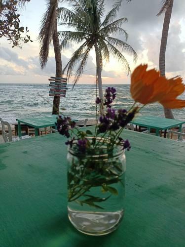 Coral Reef Hotel
