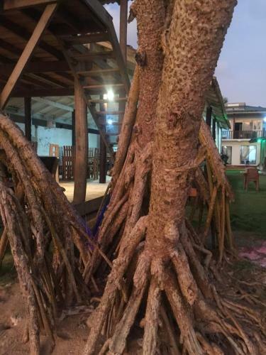 Albergue New Amadeo Beach