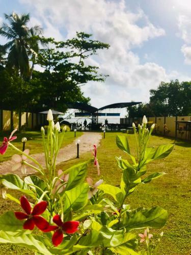 Bed & Breakfast Tramonto Airport Lagoon Resort