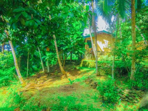 Hotel Sobakee Eco Resort