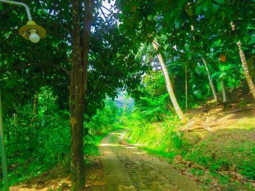 Hotel Sobakee Eco Resort