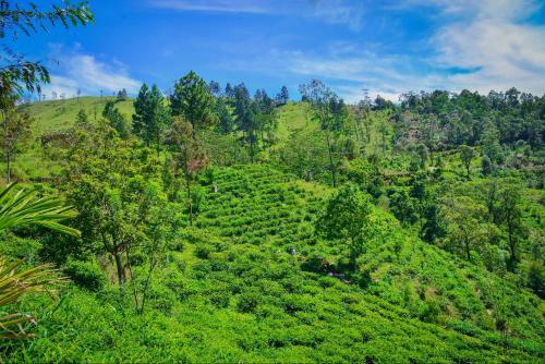 Hostal Lak Sewana Home Stay