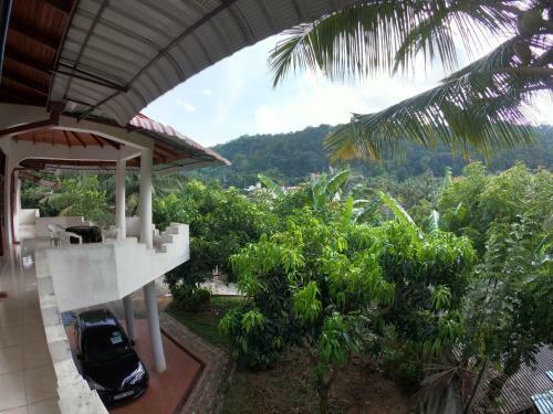 Forest View Point Bungalow