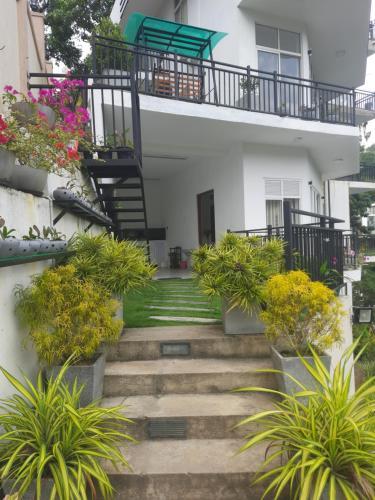 Bed & Breakfast Kandy Leisure Point