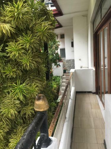 Hotel Kandy Ivy Banks Holiday Resort