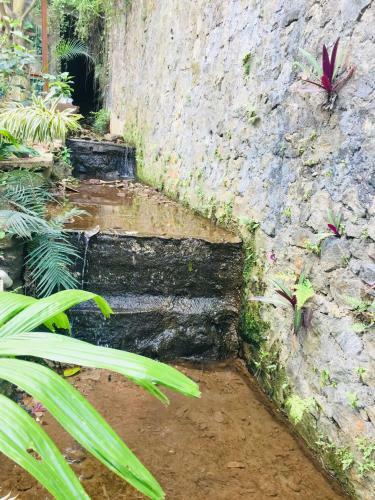 Hotel Kandy Ivy Banks Holiday Resort