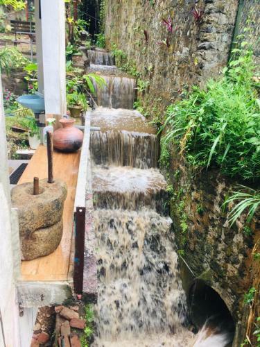 Hotel Kandy Ivy Banks Holiday Resort