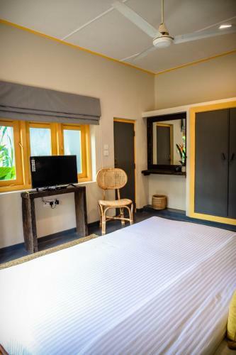 Albergue Banana Bunks