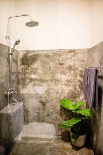 Albergue Banana Bunks