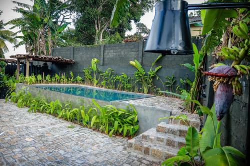Albergue Banana Bunks
