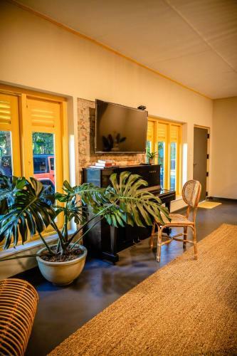 Albergue Banana Bunks