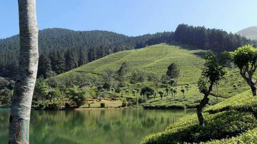 Hostal Riverston Holiday Guest House
