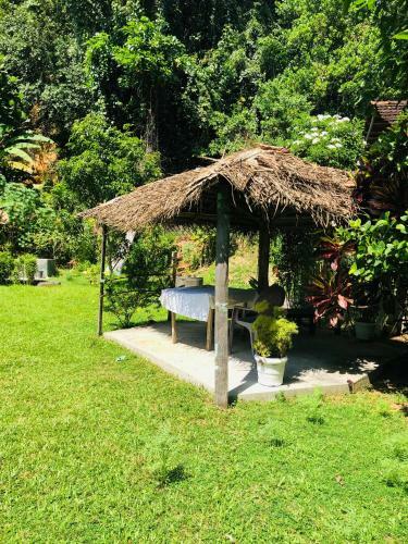 Villa Nature Green