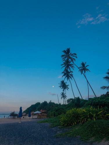 Hotel Ocean Breeze Villa