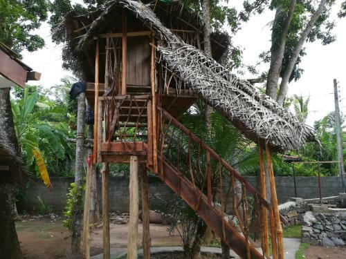 Lodge Bimanjee Mango Resort