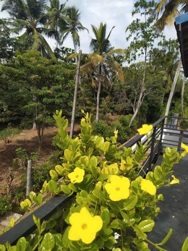 Nilwala Resort