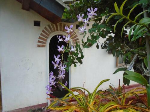 Apartamento Tropical Dream