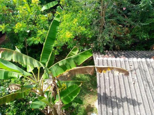 Apartamento Tropical Dream
