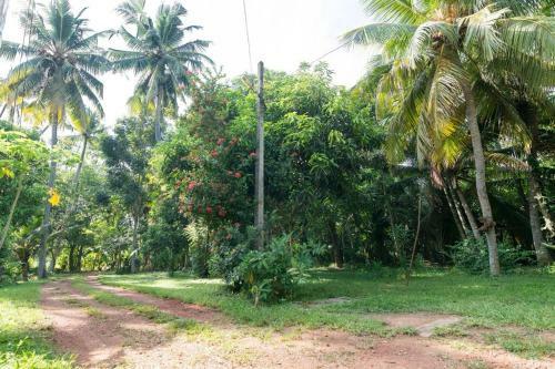Apartamento Tropical Dream