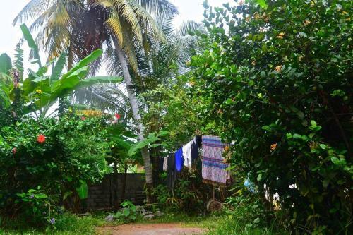 Apartamento Tropical Dream