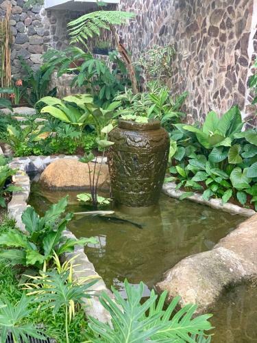 Bed & Breakfast Baliraya