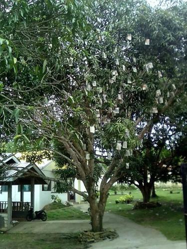 Bed & Breakfast Balai Mariacaria Pension House