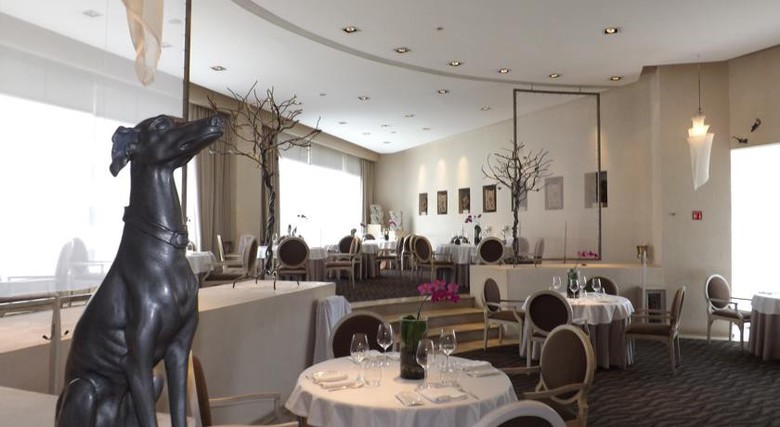 Hotel Royal Pedregal