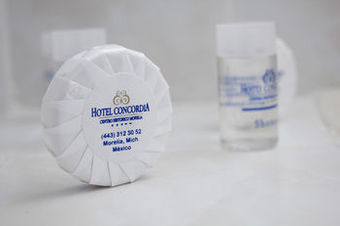 Hotel Concordia