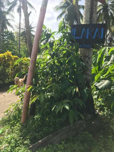 Ilakai Hostel