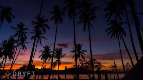 Dryft Darocotan Island