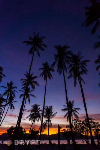 Dryft Darocotan Island