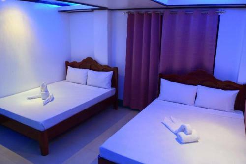 Alocasia Hostel