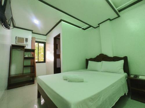 Alocasia Hostel