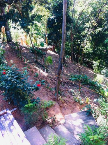 Camp Talusi Hills