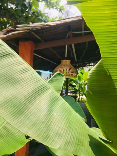 Bed & Breakfast Hoi An Blue Seaside Homestay