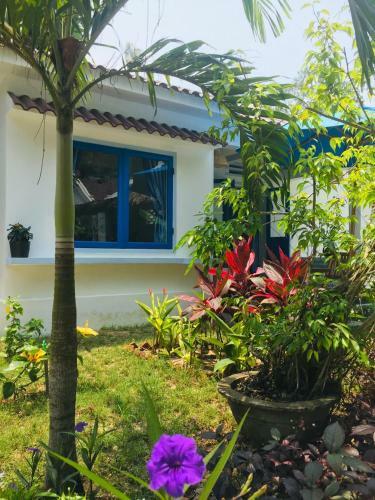 Bed & Breakfast Hoi An Blue Seaside Homestay