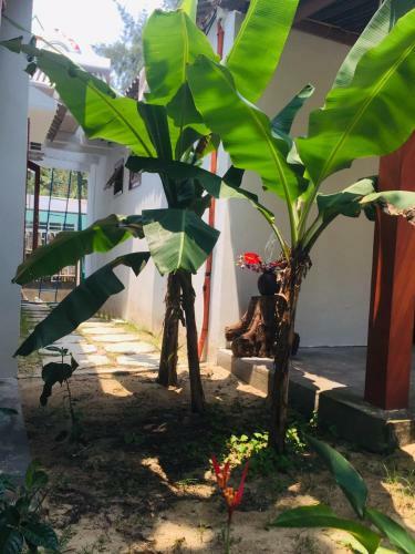Bed & Breakfast Hoi An Blue Seaside Homestay