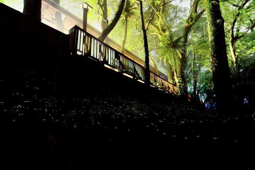 Chan Shuo The Pavilion Of Phoenix