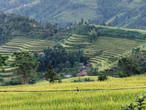 Long Chi?u Homestay