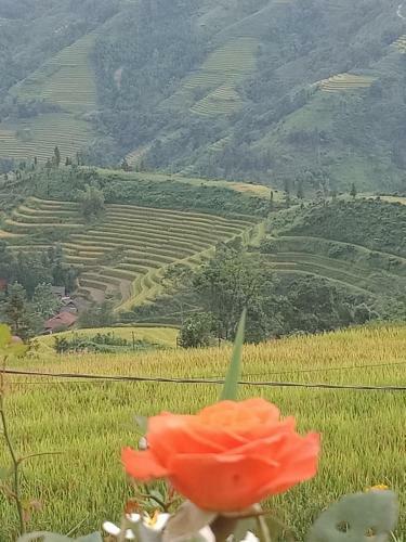 Long Chi?u Homestay